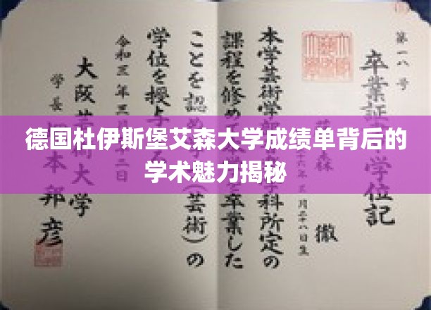 德国杜伊斯堡艾森大学成绩单背后的学术魅力揭秘
