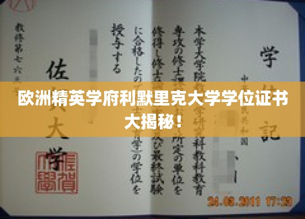欧洲精英学府利默里克大学学位证书大揭秘！