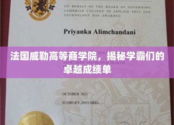法国威勒商学院学霸秘籍，揭开卓越成绩单背后的真相