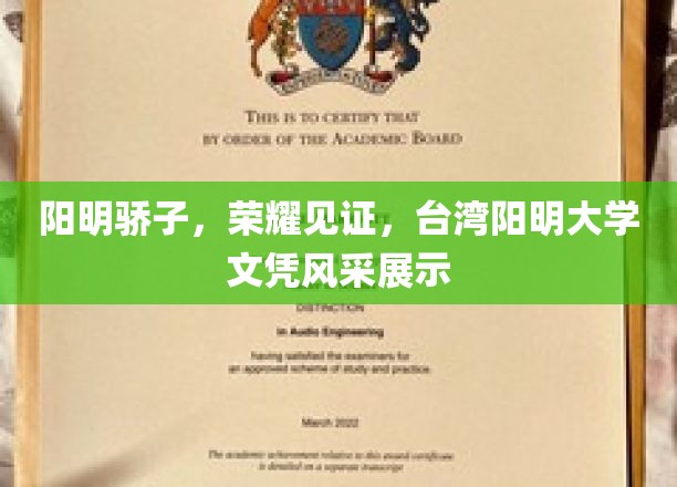 台湾阳明之光，学子荣耀，文凭风采大放异彩