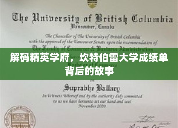 解码精英学府，坎特伯雷大学成绩单背后的故事