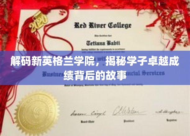 解码新英格兰学院，探寻学子卓越成就背后的传奇