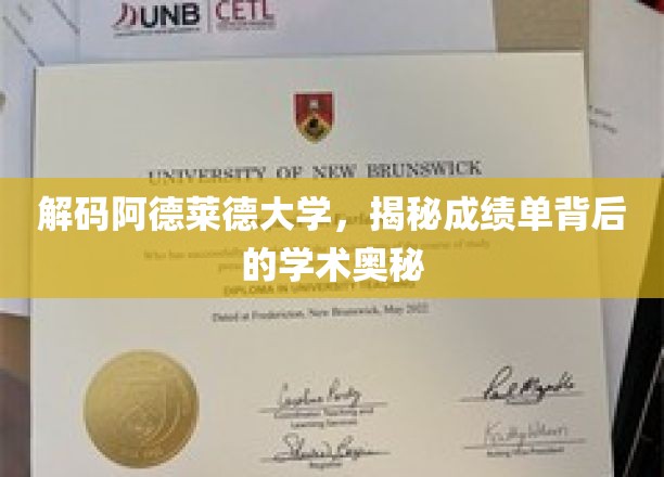 解码阿德莱德大学，揭秘成绩单背后的学术奥秘
