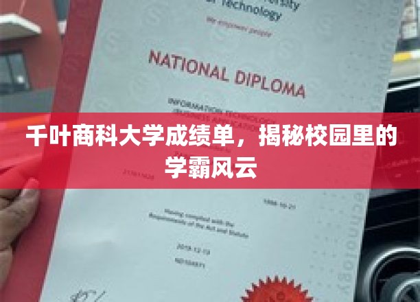 校园学霸榜，千叶商科大学成绩单背后的风云故事