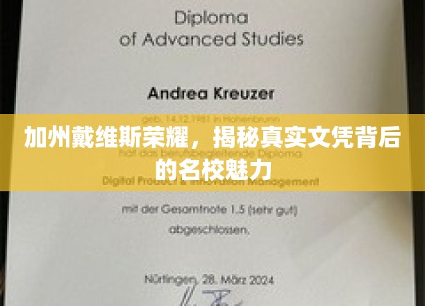 加州戴维斯辉煌揭秘，探寻文凭背后名校的非凡魅力