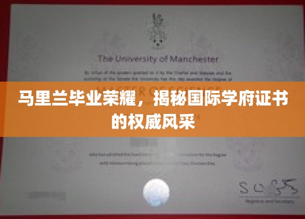 马里兰荣耀，探寻国际学府证书背后的权威魅力