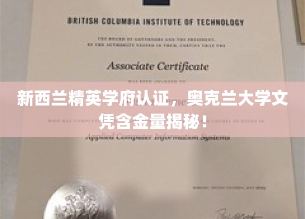 奥克兰大学，新西兰精英教育认证，揭秘顶尖文凭的含金量密码