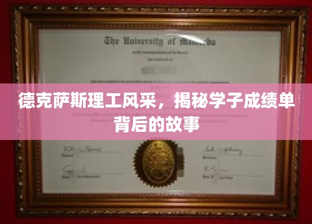 德理风采，探寻学子成绩单背后的青春传奇