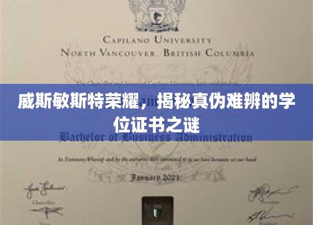 威斯敏斯特之光，探寻真假难辨的学位证书迷雾