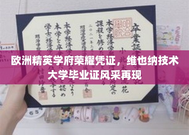 欧洲精英学府荣耀凭证，维也纳技术大学毕业证风采再现