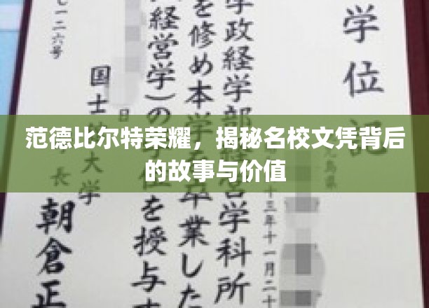 探寻范德比尔特名校光环，文凭背后的传奇与价值