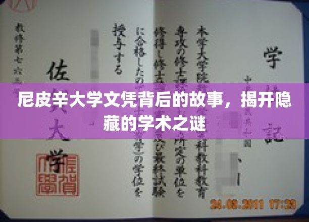 尼皮辛大学学位背后的故事，揭开学术神秘面纱