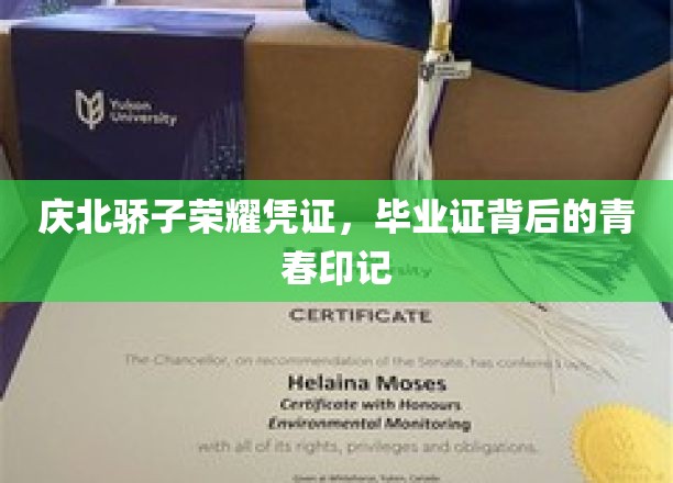 庆北骄子荣耀凭证，毕业证背后的青春足迹