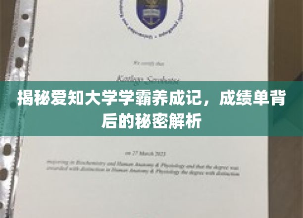 揭秘学霸之路，爱知大学高分背后的独家秘诀！