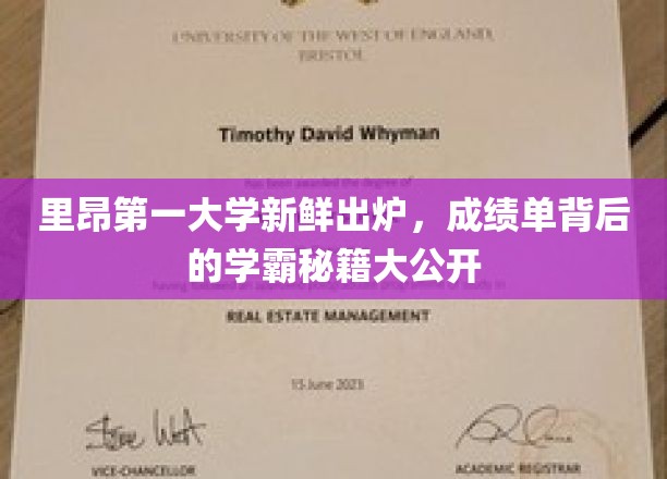 揭秘里昂第一大学学霸养成记，高分秘籍大公开！