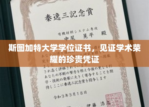 斯图加特荣耀印记，学位证书背后的学术传奇