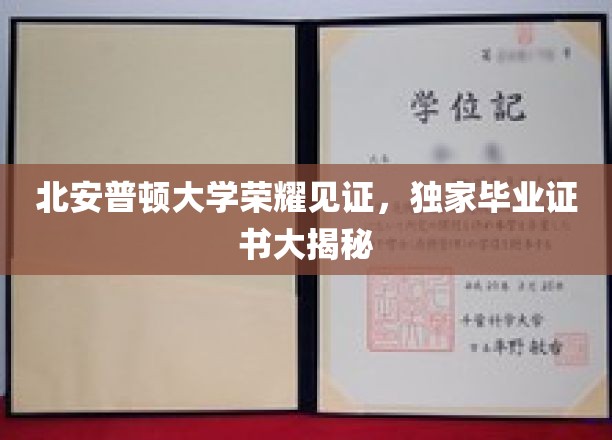 北安普顿大学荣耀见证，独家毕业证书大揭秘