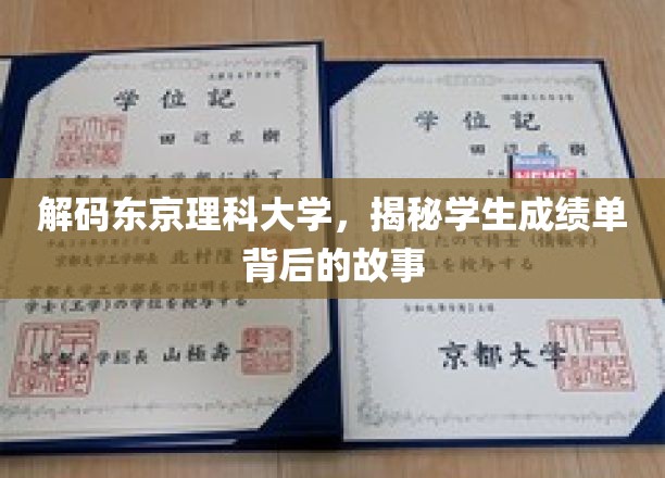 解码东京理科大学，揭秘学生成绩单背后的故事