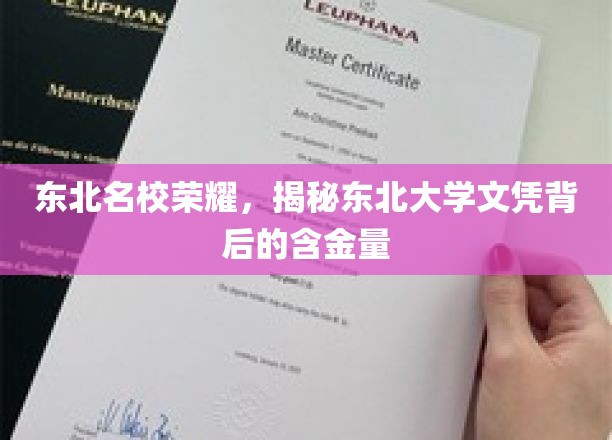 东北名校荣耀，揭秘东北大学文凭背后的含金量