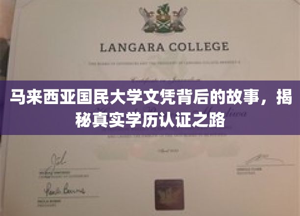 马大文凭背后的秘密，一场学历认证的奇妙旅程
