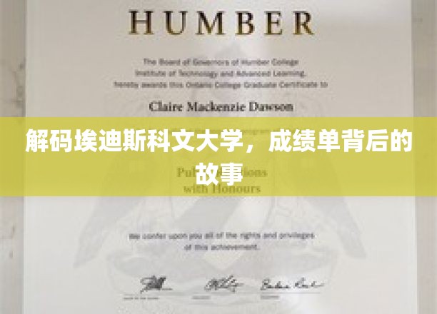 解码埃迪斯科文大学，成绩单背后的故事