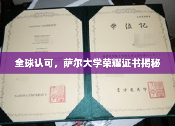 全球认可，萨尔大学荣耀证书揭秘