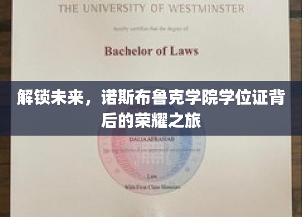 揭秘诺斯布鲁克学院，学位证背后的传奇征程
