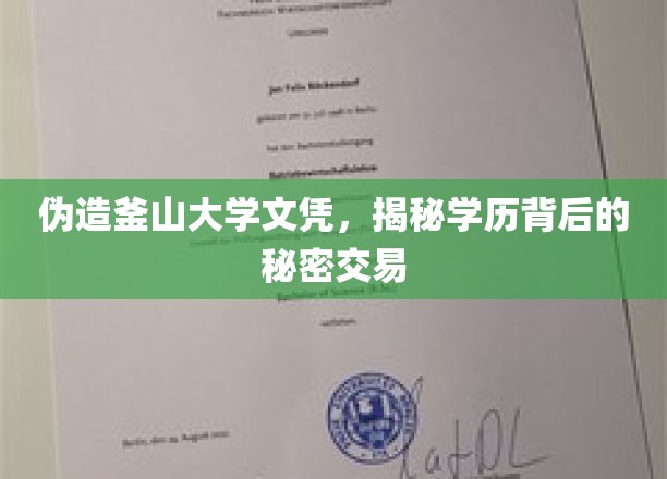 伪造釜山大学文凭，揭秘学历背后的秘密交易