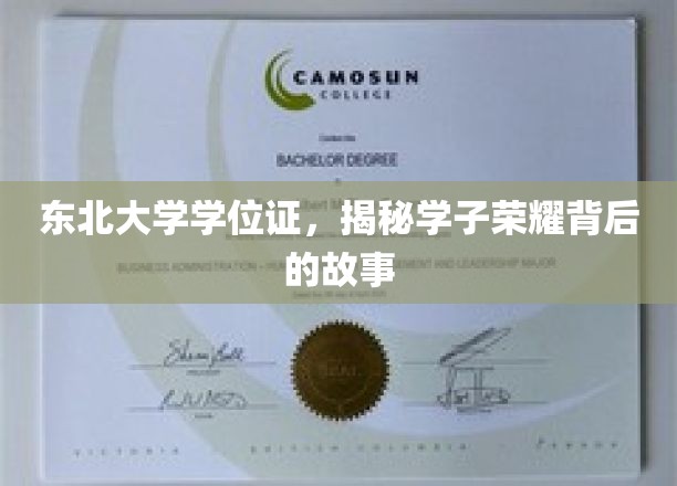 东北大学荣耀见证，揭秘学子学位证背后的奋斗传奇