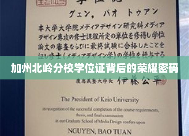 探寻加州北岭分校学位证的神秘荣耀印记