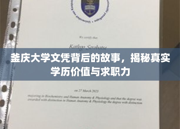 学历光环下的真实价值，釜庆大学文凭背后的求职力真相