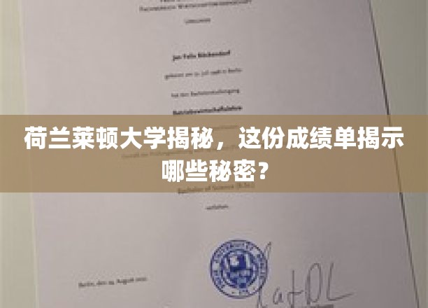 莱顿大学成绩单背后的惊人秘密，揭秘荷兰学术精英的养成之路