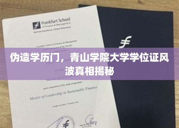 青山学院学历造假事件，学位证风波背后真相全曝光！