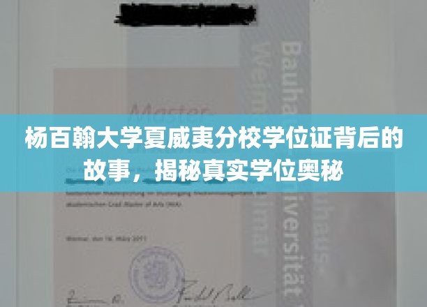 杨百翰大学夏威夷分校学位证揭秘，探寻背后的真实学历传奇