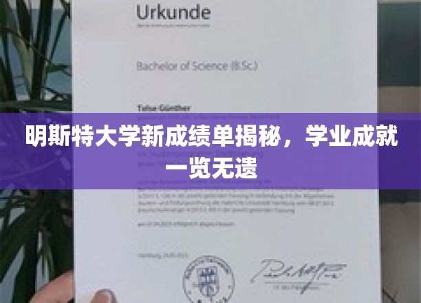 明斯特大学全新成绩单亮相，学子学业成果尽收眼底
