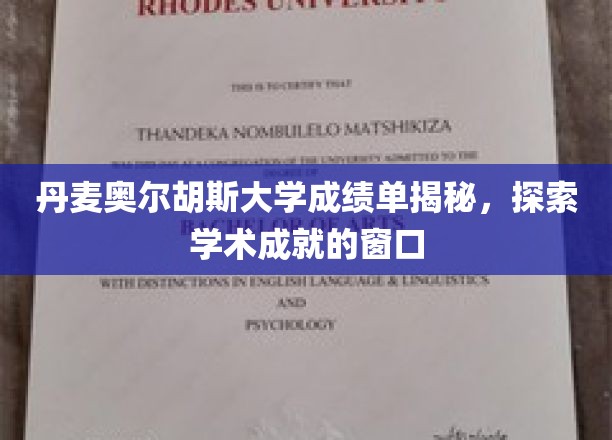 丹麦奥尔胡斯大学成绩单解析，探寻学术成就的窗口