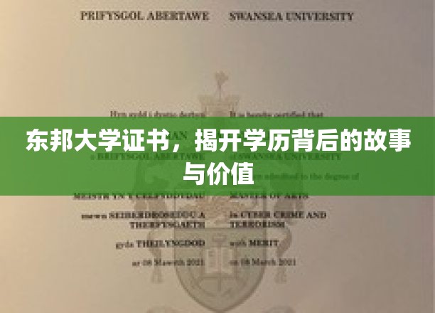 学历之光，东邦大学证书背后的传奇与价值探索