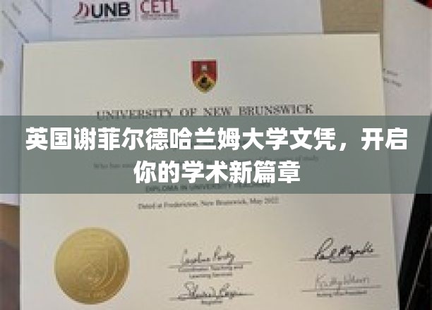 谢菲尔德哈兰姆大学文凭，助你踏上卓越学术之旅