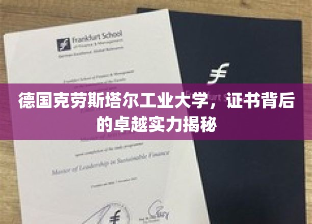 揭开克劳斯塔尔工业大学卓越证书背后的秘密力量