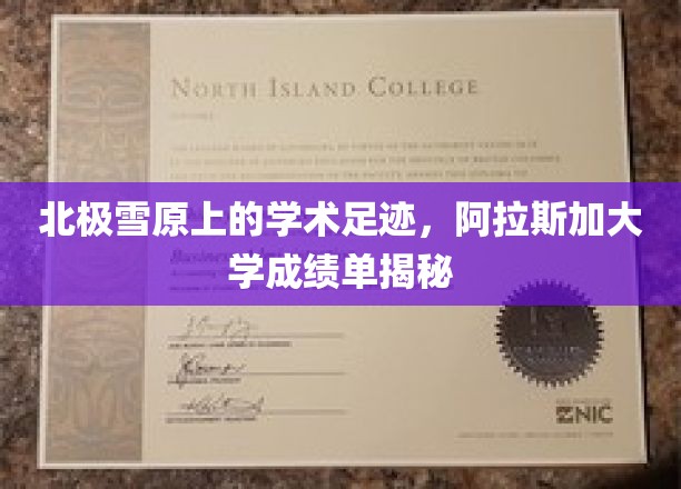 极地学径探秘，阿拉斯加大学在雪原上的学术轨迹