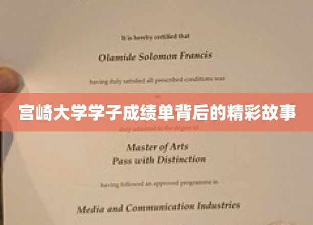 宫崎大学学子成绩单背后的精彩故事
