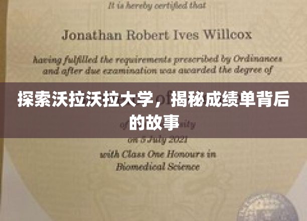 沃拉沃拉大学揭秘，成绩单背后的精彩人生篇章