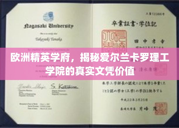 欧洲精英学府，揭秘爱尔兰卡罗理工学院的真实文凭价值