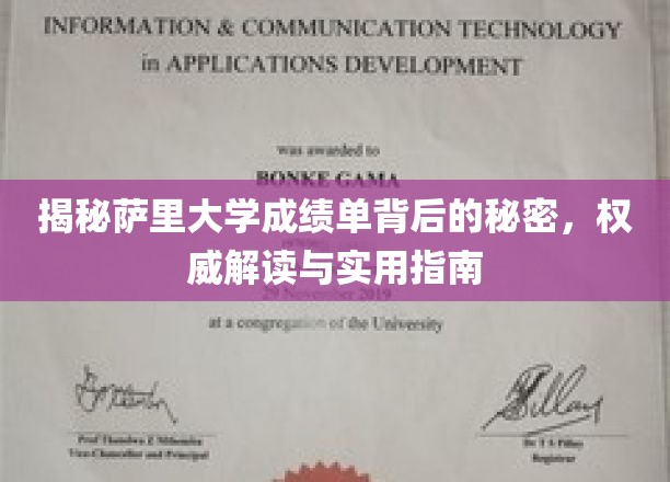 揭秘萨里大学成绩单背后的秘密，权威解读与实用指南