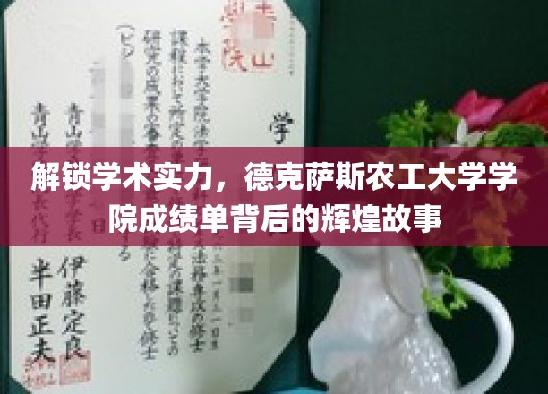 德克萨斯农工大学，揭开学院精英成就背后的璀璨篇章