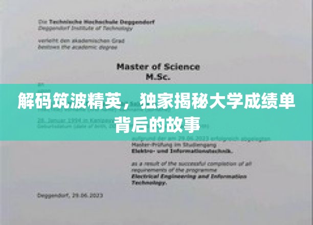 筑波精英养成记，揭开大学成绩单背后的不凡传奇