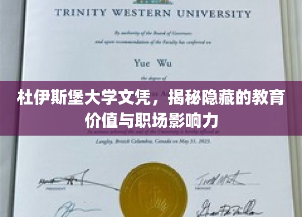 杜伊斯堡大学文凭，深度解读其教育价值与职场影响力