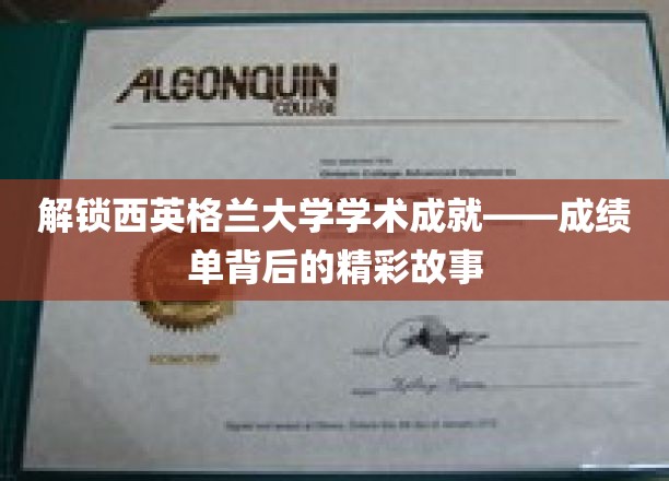 探寻西英格兰大学辉煌成就，揭秘学子背后的励志篇章