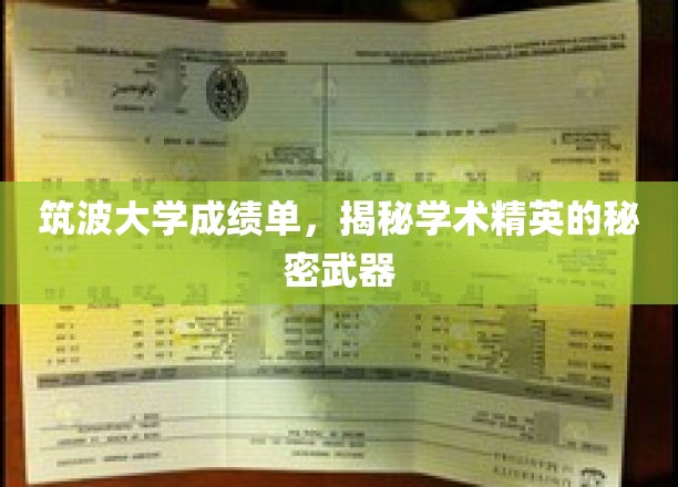 解码筑波大学学霸秘籍，成绩单背后的学术奥秘