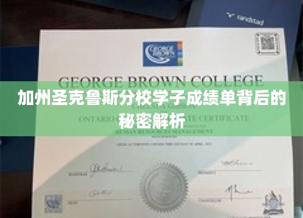 加州圣克鲁斯分校学子成绩单背后的秘密解析